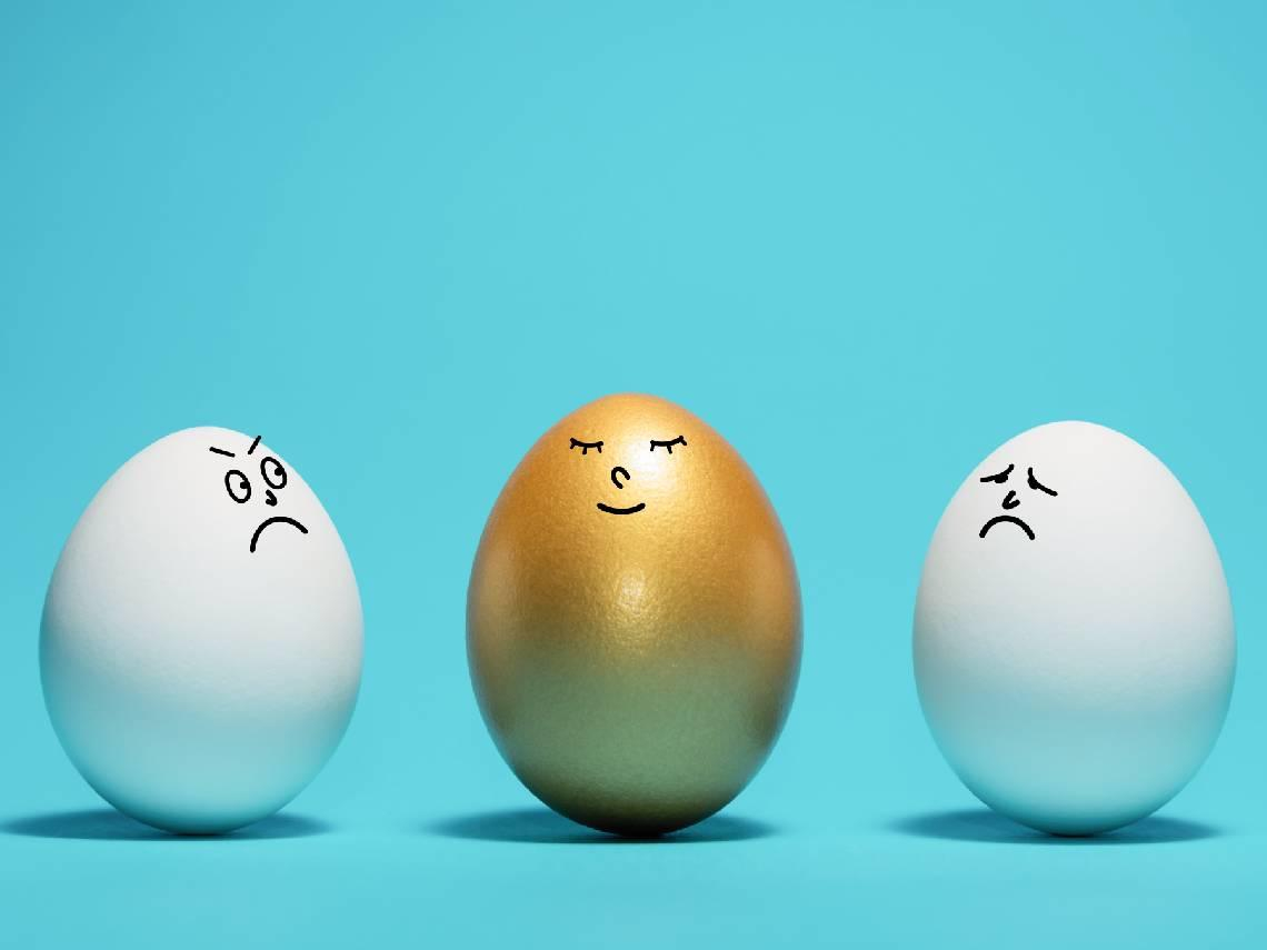 00919連續13季配息破10％，高股息ETF稱王！48檔6月除息ETF「息價雙賺」選誰好？除息日、發息日，卡位快看